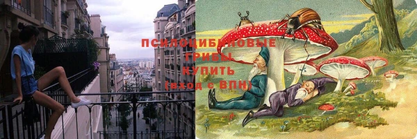 mdpv Вяземский